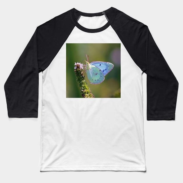 blue butterfly Baseball T-Shirt by ButterfliesFlowersGarden